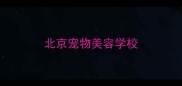 北京宠物美容学校