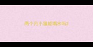 两个月小猫能喝水吗