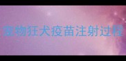 宠物狂犬疫苗注射过程