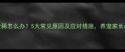 小狗拉稀怎么办5大常见原因及应对措施养宠家长必看