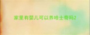 家里有婴儿可以养哈士奇吗