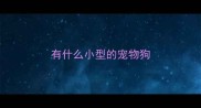 有什么小型的宠物狗