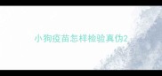 小狗疫苗怎样检验真伪