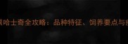 家养蓝眼哈士奇全攻略品种特征饲养要点与疾病预防