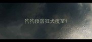 狗狗预防狂犬疫苗