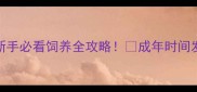 太迪犬1岁才成年新手必看饲养全攻略成年时间发育阶段健康养护全