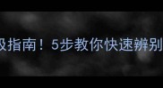 拉布拉多纯种终极指南5步教你快速辨别血统纯正的贵宾犬