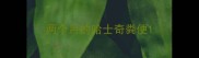 两个月的哈士奇粪便