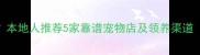 句容哪里买哈士奇本地人推荐5家靠谱宠物店及领养渠道附购买避坑指南