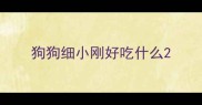 狗狗细小刚好吃什么