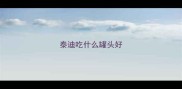 泰迪吃什么罐头好