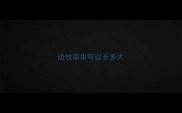 边牧串串可以长多大