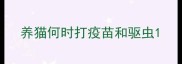 养猫何时打疫苗和驱虫