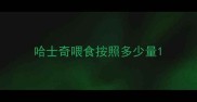 哈士奇喂食按照多少量