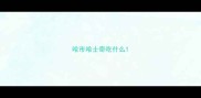 哈市哈士奇吃什么