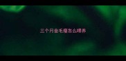 三个月金毛瘦怎么喂养
