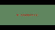 萌一点的宠物名字大全