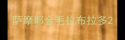 萨摩耶金毛拉布拉多