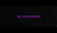 哈士奇可以吃菇吗