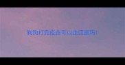 狗狗打完疫苗可以走回家吗