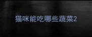 猫咪能吃哪些蔬菜