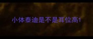 小体泰迪是不是耳位高