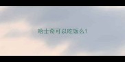 哈士奇可以吃饭么