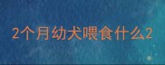 2个月幼犬喂食什么