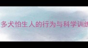 拉布拉多犬怕生人的行为与科学训练指南