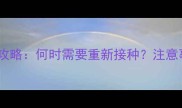 狗狗疫苗补打全攻略何时需要重新接种注意事项与专业指南