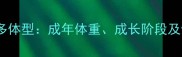 黑拉布拉多体型成年体重成长阶段及饲养指南