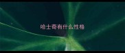 哈士奇有什么性格
