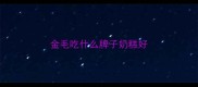 金毛吃什么牌子奶糕好