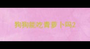 狗狗能吃青萝卜吗