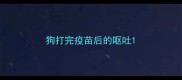狗打完疫苗后的呕吐
