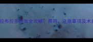 合肥母拉布拉多绝育全攻略费用注意事项及术后护理
