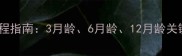 哈士奇幼犬疫苗全流程指南3月龄6月龄12月龄关键时间表与注意事项
