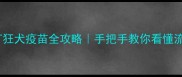 自己给狗狗打狂犬疫苗全攻略手把手教你看懂流程避坑指南