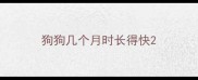 狗狗几个月时长得快