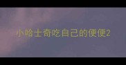 小哈士奇吃自己的便便