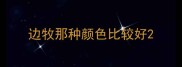 边牧那种颜色比较好