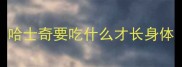 哈士奇要吃什么才长身体