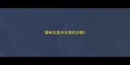 猫咪洗澡沐浴液的步骤