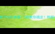 拉布拉多脖子毛长难看3招教你搞定附超全护理指南