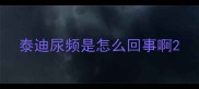 泰迪尿频是怎么回事啊