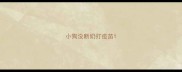 小狗没断奶打疫苗