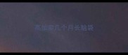 高加索几个月长脑袋