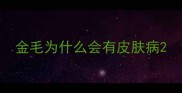 金毛为什么会有皮肤病
