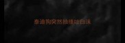 泰迪狗突然抽搐吐白沫