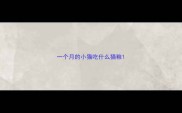 一个月的小猫吃什么猫粮